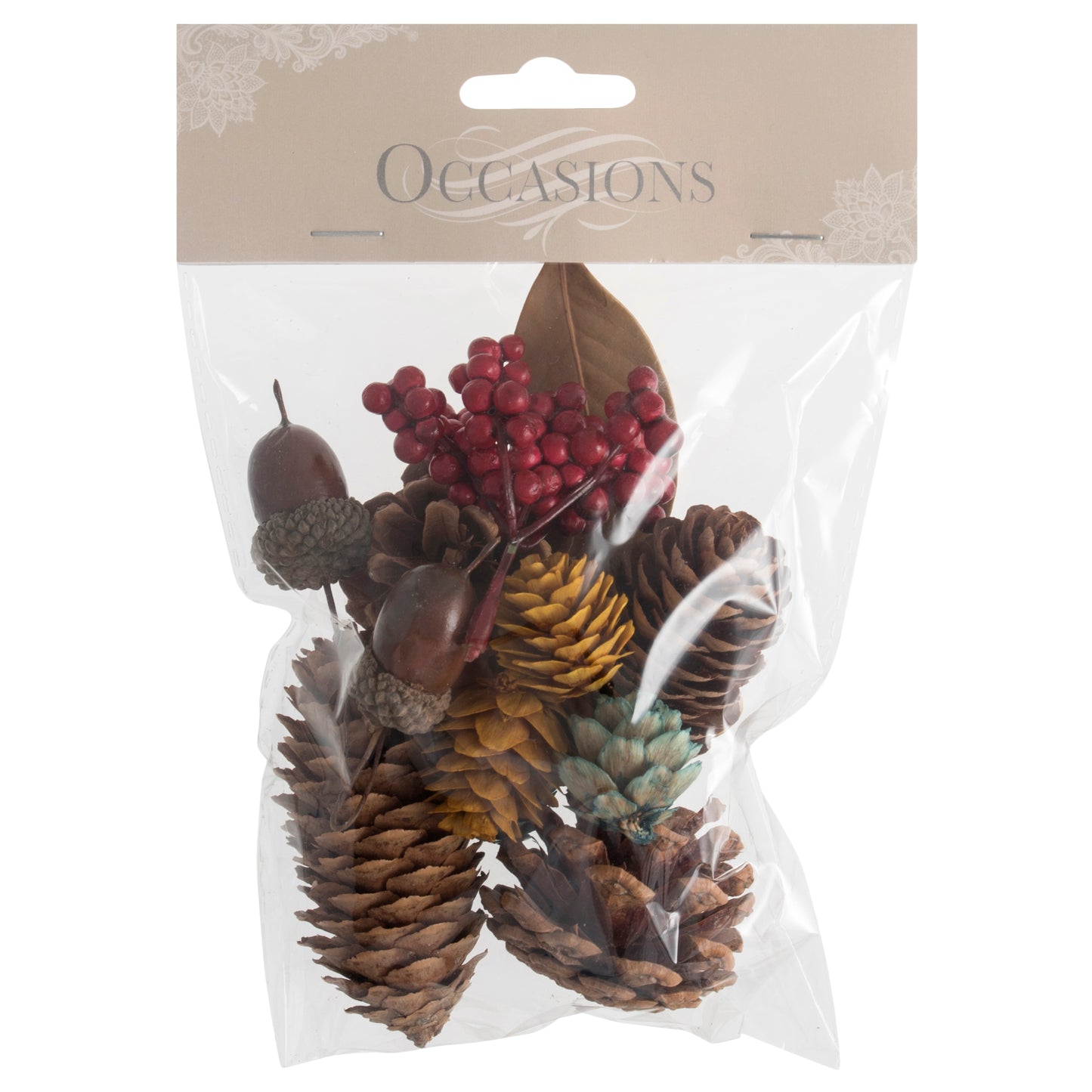 Acorns, pine cones, leaves and berries pack