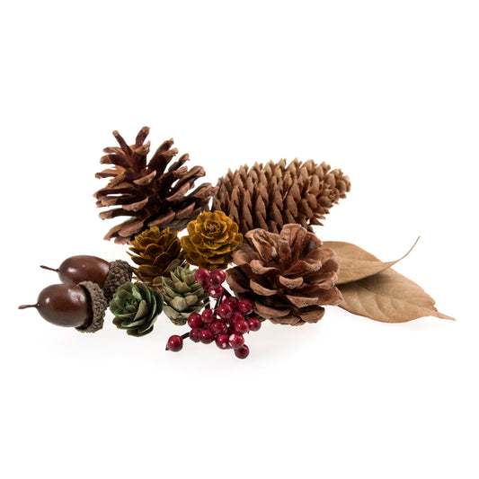 Acorns, pine cones, leaves and berries pack