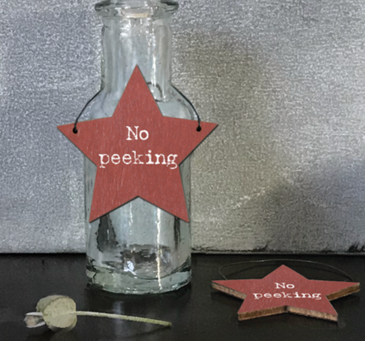 No Peeking Christmas Hanging Star - East of India