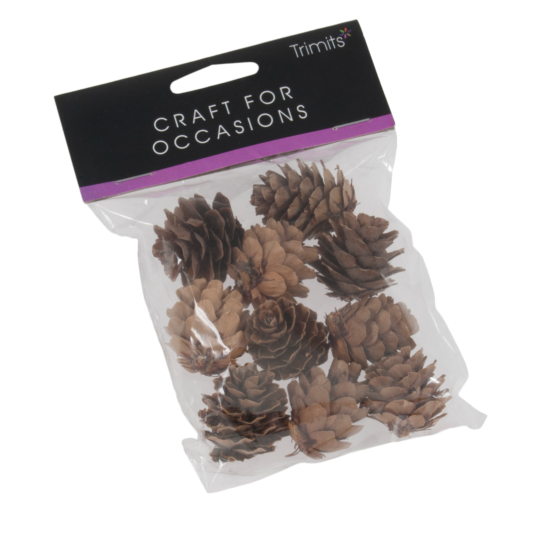 Pine Cones